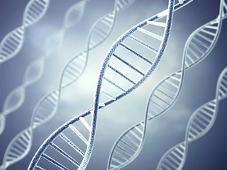 Znajomość sekwencji nukleotydów w naszym DNA pozwala na zidentyfikowanie mutacji w konkretnych genach. Ilustracja: wizualizacja 3D ludzkiego DNA