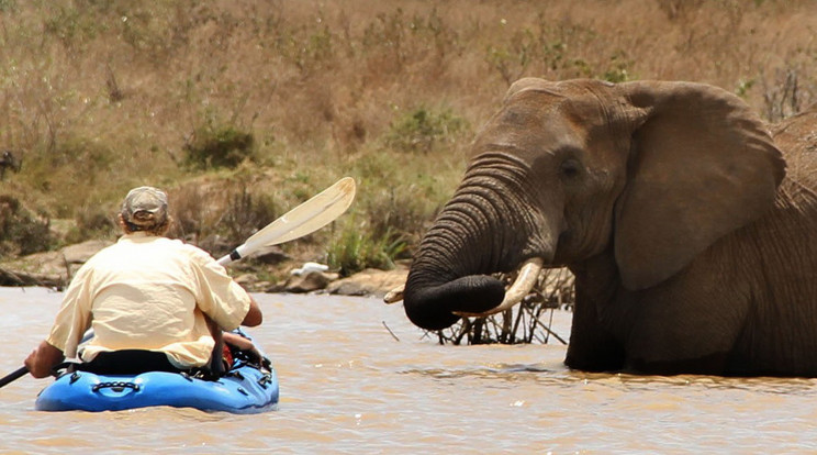 Elefántokkal is kenuzhatunk / Fotó: Profimedia-Reddot