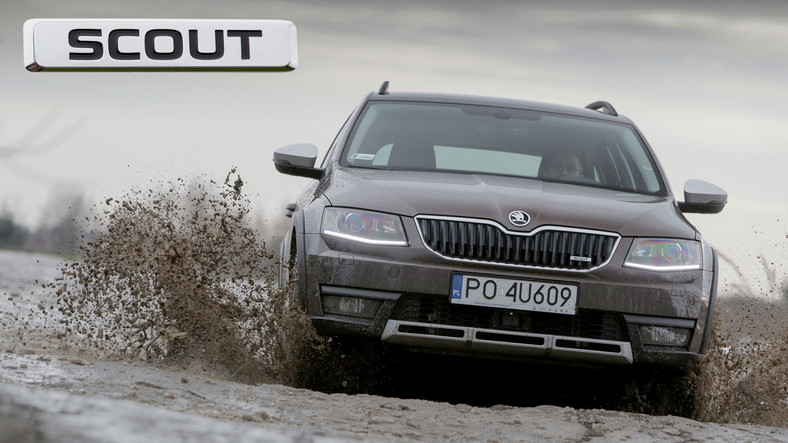 Skoda Octavia III (od 2012 r.) - wersja Scout