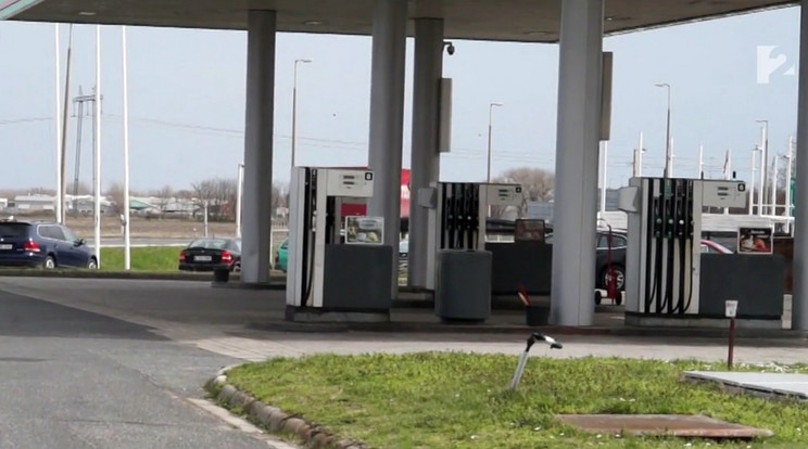 Az abdai benzinkút kamerái látták utoljára az autójával elhajtó Zoltánt. A kutatócsoport is itt készül gyülekezni, s innen indulnak el több irányba átfésülni a környéket /Fotó: TV2