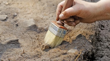 Archeolodzy z Polski odnaleźli urnę sprzed dwóch tysięcy lat. Prześwietlili ją u weterynarza