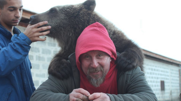 �Szilágyi István 
mosolyogva tűri, 
hogy a cseperedő 
ragadozó a hátán 
ülje végig, amíg
előadásokat tart 
a medvepark látogatóinak