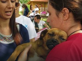 Specijalo obučeni psi pomažu deci sa smetnjama u razvoju da se socijalizuju