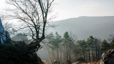 Jura na liście UNESCO? Apel mieszkańców