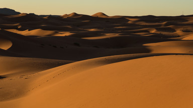 Znaleziono ciała czworga dzieci na Saharze. Zmarły z pragnienia
