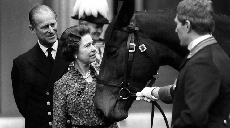 II. Erzsébet 1982-ben egy királyi lovasbemutatón /Fotó: Northfoto