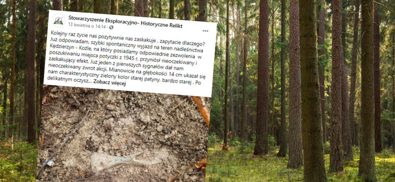 Niezwykłe odkrycie w lesie sprzed 3 tys. lat. "Prawdziwy skarb"