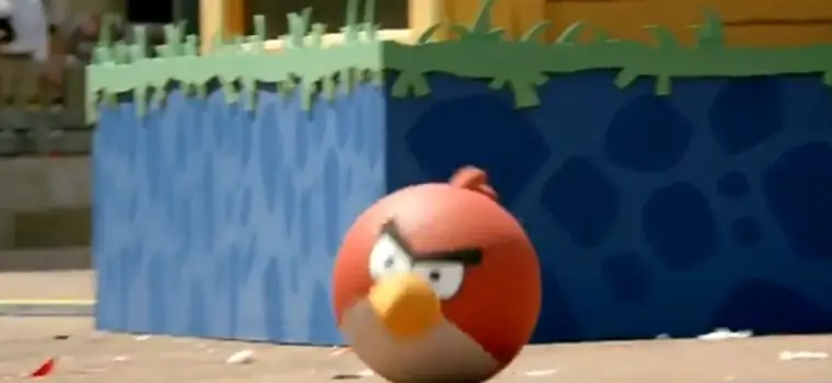 Angry Birds na żywo – część druga