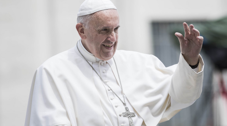 Ferenc pápa beleegyezett a pedofil papok eltávolításába / Fotó: AFP