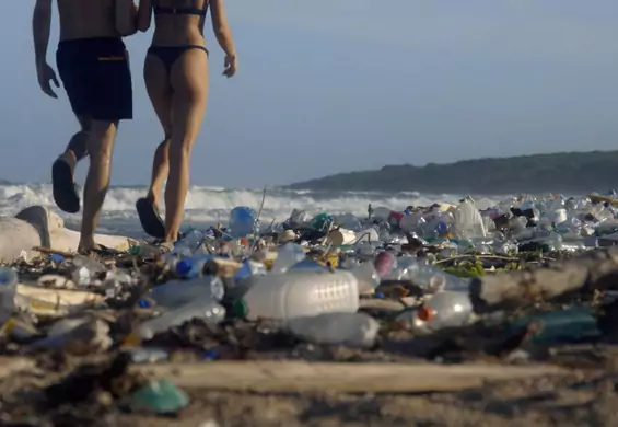 Pornhub wyczyści oceany. Seks na plaży pełnej plastiku w akcji "The Dirtiest Porn Ever"