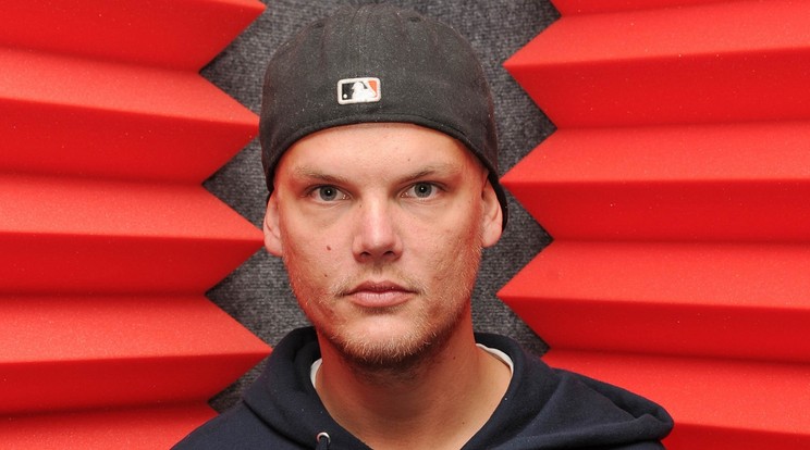 Szörnyű fájdalommal élt Avicii, mielőtt öngyilkos lett /Fotó: Northfoto