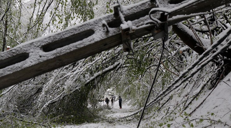 Ilyen pusztítást végzett a hó / Fotó: MTI - Vajda János