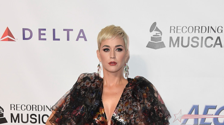 Katy Perry nem akar feleség lenni /Fotó: Getty Images