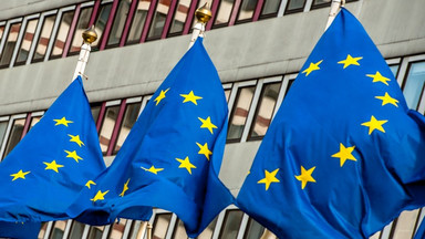 Twój Ruch chce karać za znieważenie flagi UE