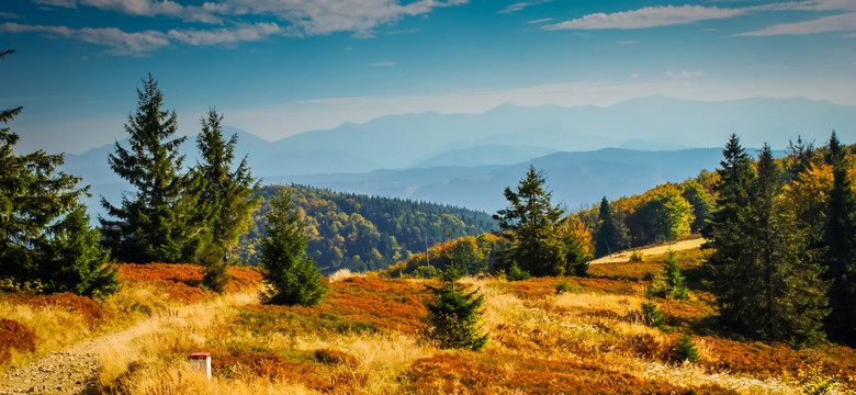Beskid Śląski: najpiękniejsze szczyty i szlaki. Co warto zobaczyć?