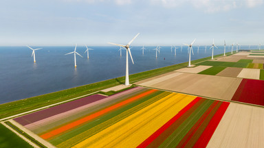 Holandia: elektrownie wiatrowe mogą powodować problemy z sercem