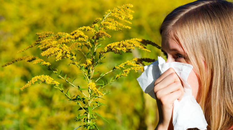 Vannak speciális készítmények, amelyek a pollenszezon
közepén is segítenek / Fotó: Shutterstock