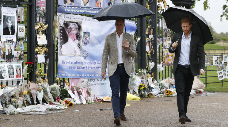 Vilmos és Harry herceg lerótta tiszteletét az édesanyjuk, Diana emlékére kialakított emlékkertben / Fotó:GettyImages