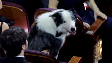 Messi na Oscarach. Pies z "Anatomii upadku" na gali