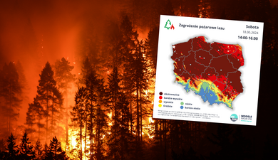 Ekstremalnie trudna sytuacja pożarowa w Polsce. Może zostać wprowadzony zakaz wstępu do lasów