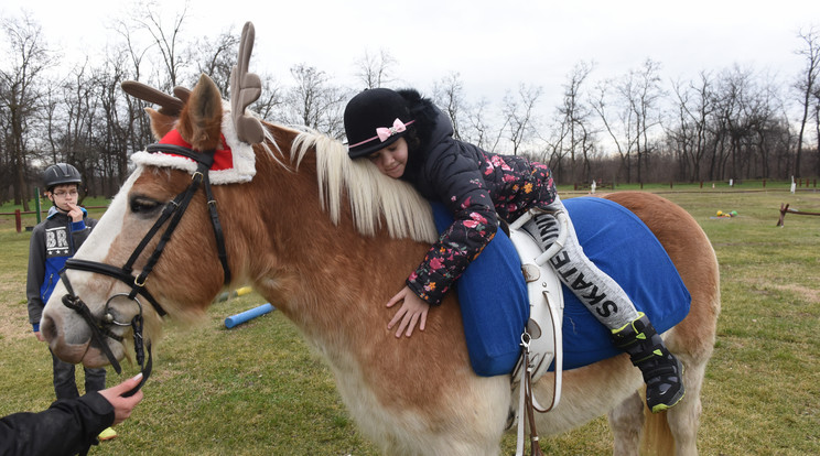 A lovasterápia rengeteg örömöt szerez a rászoruló gyerekeknek, szüleiknek és oktatóiknak egyaránt /Fotó: RAS