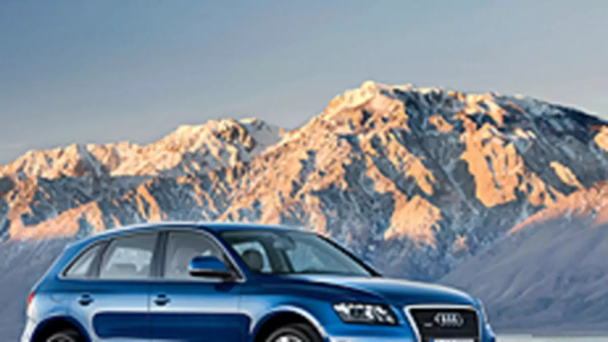 Audi Q5 mniejszy brat Q7