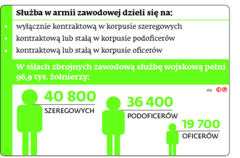 Służba w armii zawodowej dzieli się na: