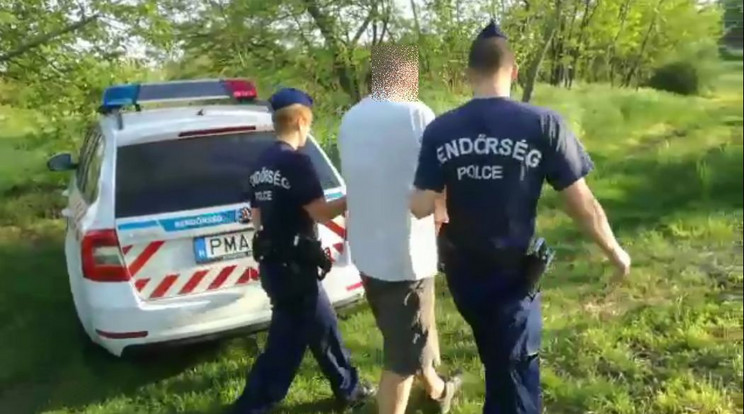 Rendőrök kísérték el a 46 éves termesztőt, aki félszáz csemetét nevelgetett /Fotó: police.hu