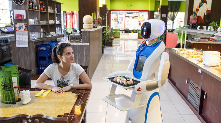 Már több hazai
étteremben robotpincér viszi ki az asztalhoz a megrendelt ételt /Fotó: MTI/ Krizsán Csaba