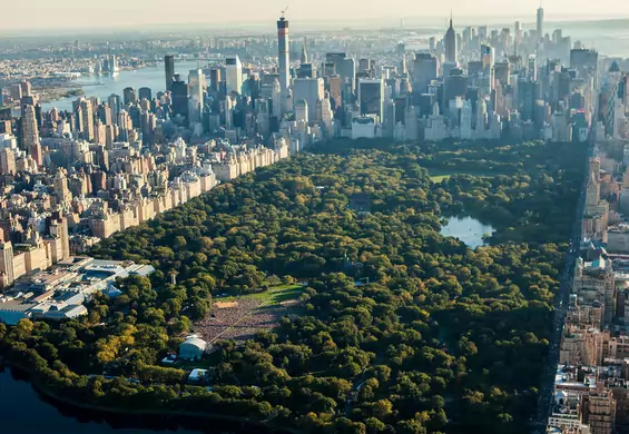 W Polsce powstanie Central Park jak z Nowego Jorku i to nie będzie Warszawa