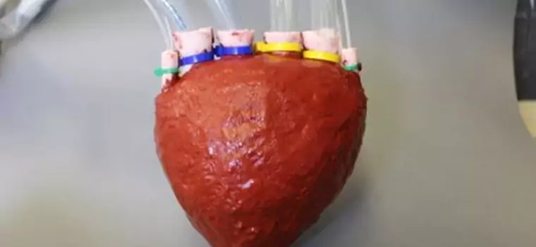 Serce drukowane z elastomerów nadzieją dla protetyki