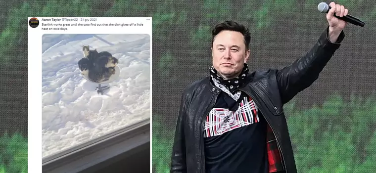 Tego Elon Musk nie przewidział. Anteny Starlink jak grzejniki - przyciągają koty