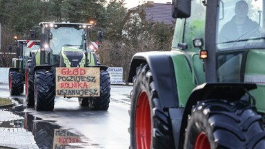 Sieć zalewają nieprawdziwe informacje o ukraińskim zbożu. "Badamy każde zgłoszenie"