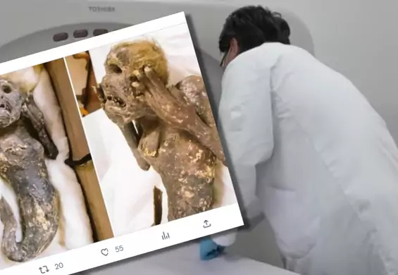 Rozwikłali zagadkę 300-letniej mumii "syreny". Wygląda jak stworzenie z innego świata
