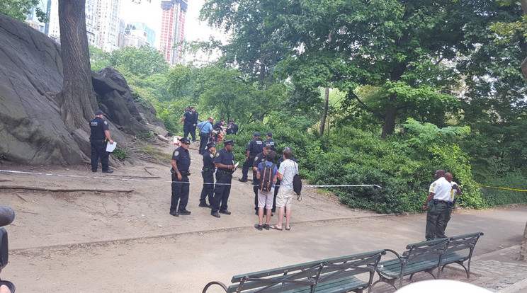 A Central Parkban történt a robbanás / Fotó: Twitter