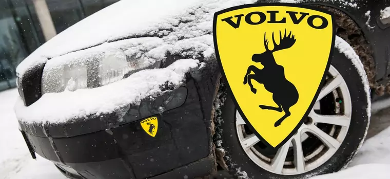 Żółta naklejka na Volvo przypomina logo Ferrari. Czy wiesz, co oznacza?