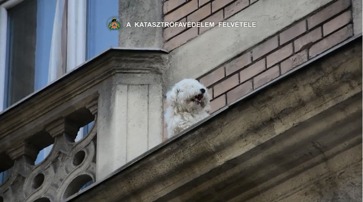 Fotó: Facebook videó