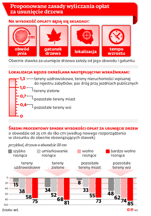 Proponowane zasady wyliczania opłat za usunięcie drzewa