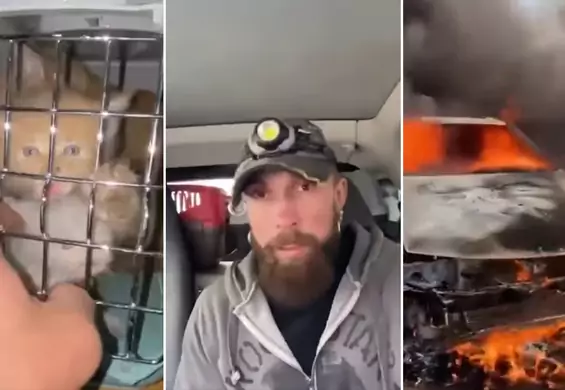 Ukraiński aktor ratuje z gruzów porzucone zwierzaki. "One nie mogą pomóc sobie same"