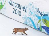 Vancouver wyda dziesięć razy więcej, niż zakładało, na organizację igrzysk, między innymi przez lobby ekologiczne