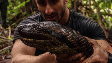 Paul Rosolie pozwoli się zjeść anakondzie w filmie przyrodniczym