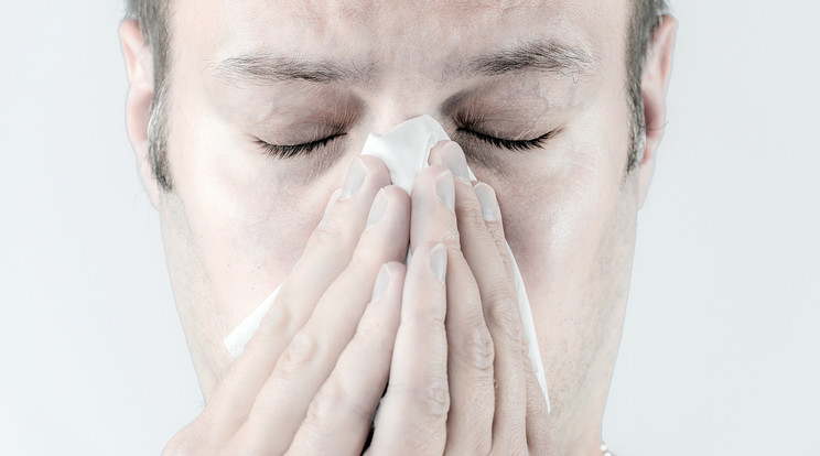 A nátha és az allergia között elég egyszerű megállapítani a különbséget /Fotó:Northfoto