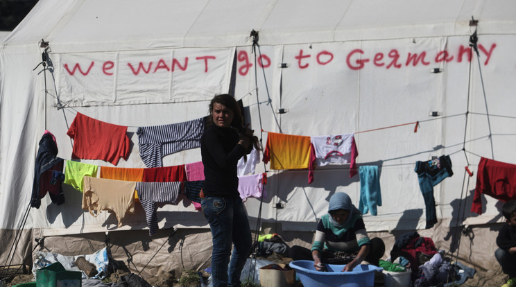 És még tízezrek tartanának Németországba - a kép a görög-,acedón határon készült / Fotó: AFP