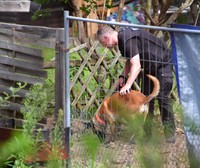 如何搭梯子访问外网