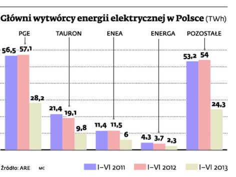Główni wytwórcy energii elektrycznej w Polsce (TWh)