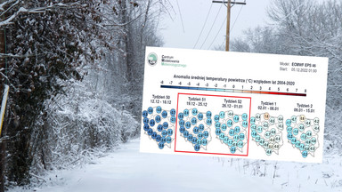Tradycyjna odwilż czy białe święta? Mamy pierwsze prognozy pogody na Boże Narodzenie