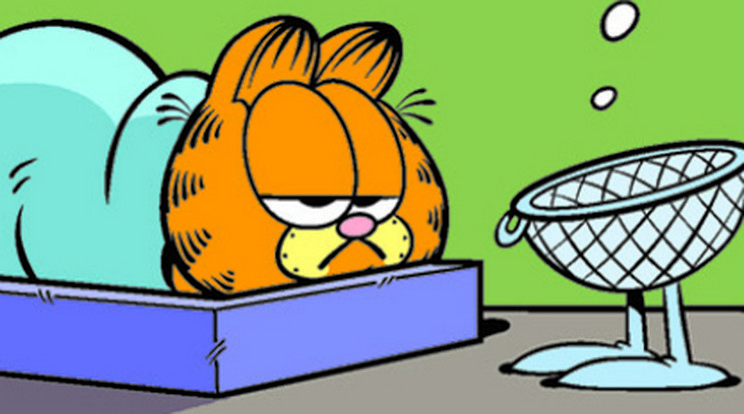 A szita agyú Garfield
