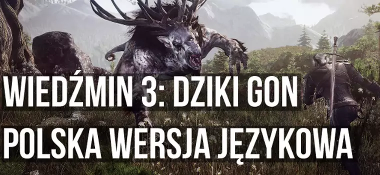 Wiedźmin 3: Dziki Gon - rozgrywka [PL]