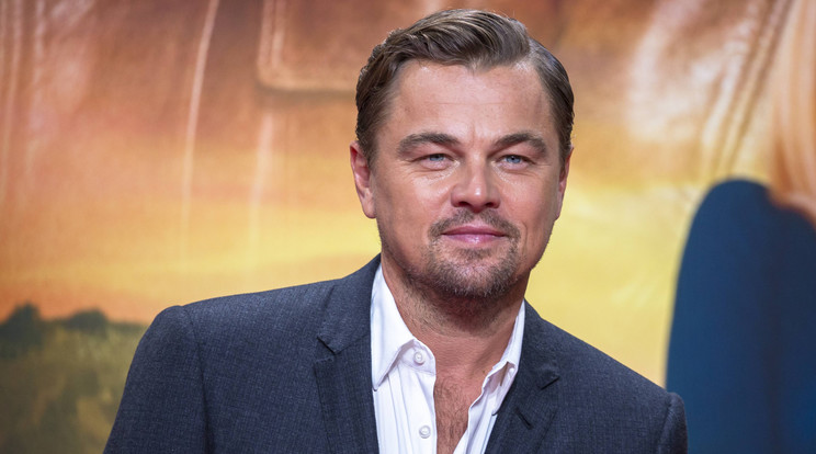 Nem kért DiCaprióból a reality-celeb, de már ő is bánja, hogy kikosarazta a színészt / Fotó: Northfoto