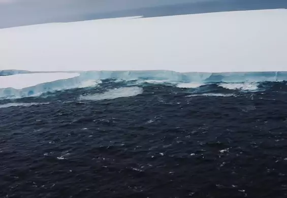 Największa góra lodowa świata płynie w kierunku wyspy. Może spowodować lokalną katastrofę
